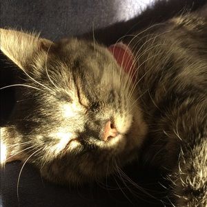 Meet your Posher, Manon